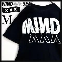 極美品 ウィンダーシー×ゴッドセレクショントリプルエックス 半袖