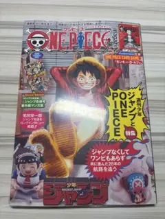 ワンピースマガジン ワンピース カードゲーム