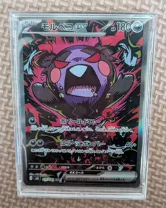 モルペコex SAR