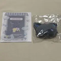 JOCHUMジェオチャムピーハイ キャンディデザインシリーズ ブローチ硬質ケース