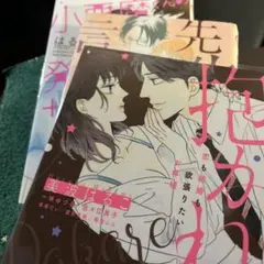 本日お仕事後に抱かれたい他2冊 　 はるこ漫画集　　ぶんか社のサムネイル