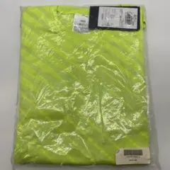 Item thumbnail for item 948a5bfd-26a5-49c5-8508-9d3560a3b597