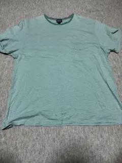 Patagonia 半袖シャツ　グリーン　ストライプ