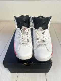 JORDAN6 RETRO WHITE INFRARED 24cm 2014