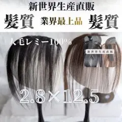 2026新世界　人毛　ウィッグ　頭頂部ウィッグ　シルクスキン　シートエクステ