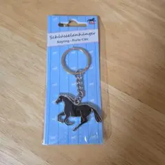 Item thumbnail for item 3a25908d-33e5-4b1f-90ce-0f09e69e09c2