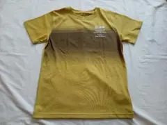 トップバリュー　Tシャツ　サイズ160　イエロー系のサムネイル