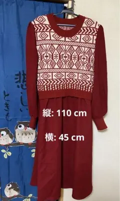 美品*レディースB.N.1 SELECT 赤いニットワンピース