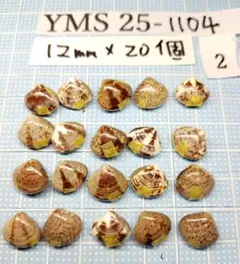 Item thumbnail for item 024ae336-cd0b-4c8f-b52d-0756369672ab