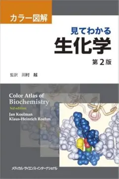 カラー図解 見てわかる生化学 第2版のサムネイル
