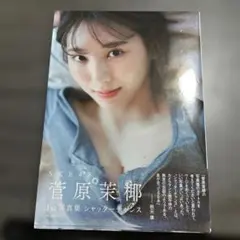 SKE48 菅原茉椰1st写真集 シャッターチャンスのサムネイル