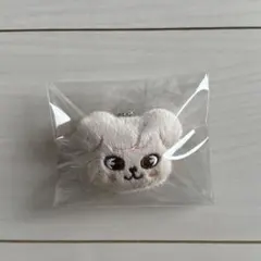 straykids skzooスンミンSeungmin승민 PuppyMパピーム