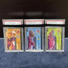 PSA10 ポケモンスクラップ2020御三家セット3連番
