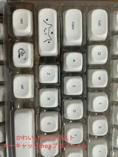 Item thumbnail for item e133eb75-d1d1-43f1-9eef-6b9054a4cb88