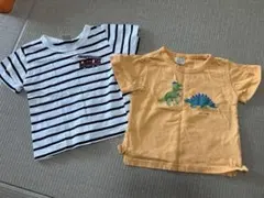 恐竜プリントとストライプTシャツ2枚セット