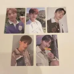 SEVENTEEN セブチ　トレカ　ドギョム まとめ売り