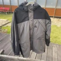 Item thumbnail for item 2d81cc2f-35d9-43e5-ac98-b126995ab16b