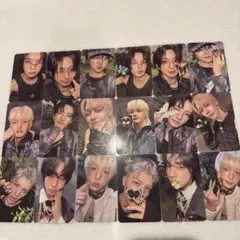 &TEAM Back to Life ROAR verコンプ セット 蝶々　ソロ