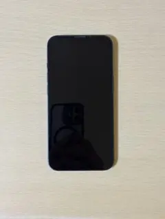 iPhone 13 背面ひび割れ（機能不良なし）