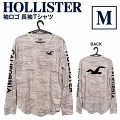 ホリスター ロンT M 袖ロゴ バックプリント 長袖Tシャツ 杢グレー
