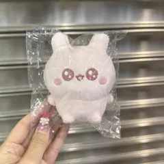 うちゃ BIGぬいぐるみ こつめちゃん プライズ】新入荷！『カワウソのコツメちゃんBIG』カワウソのこつめ