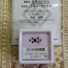 一点物 機械化 スピノサウルス シャドーボックス スチームパンク 化石