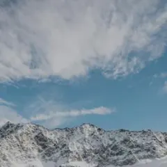 専用