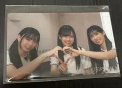 櫻坂46 Alter ego クリアカード　稲熊ひな　勝又春　佐藤愛桜