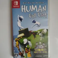 ヒューマンフォールフラットカセット