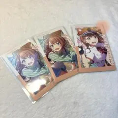 花里みのり　飼育員　エピカ　箔押し