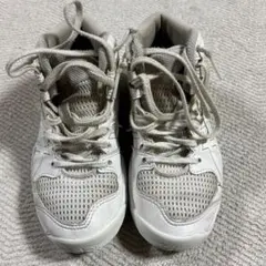 Item thumbnail for item 96a7a51f-f394-4a3c-a364-51299623eb65