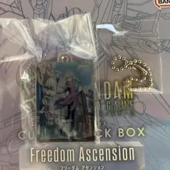 【まとめ買い大歓迎】ガンダムカード アクリルチャーム 覚悟の表れ ガチャ