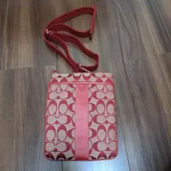 Item thumbnail for item 000a402f-19ce-40f1-9023-9f1bb62c7425