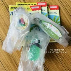 ハワイのおみやげ　ミニチュア コレクション２　ホノルル クッキー　アサイーボウル