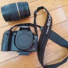 2025年最新】キャノン DS6041の人気アイテム - メルカリ