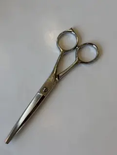 Item thumbnail for item 8e0dc202-7b03-4db1-811c-67821be6271a