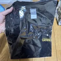 競艇 グランデ5Tシャツ