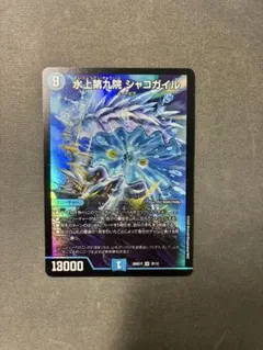 水上第九院 シャコガイルのサムネイル