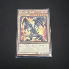遊戯王　真紅眼の黒竜 シク