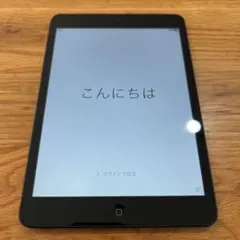 iPad mini Wi-Fi 16GB スペースグレー MD528J/A★美品