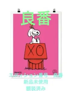 André SNOOPY アンドレサライヴァ スヌーピー　シルクスクリーン 新品 スヌーピー」とコラボレーション！グラフィティアーティスト