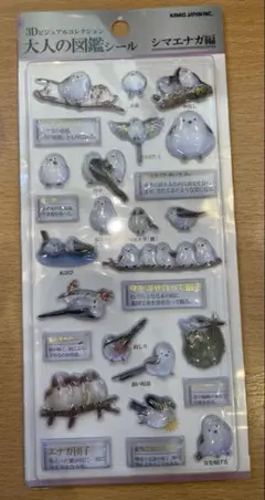 zkskal様 リクエスト 2点 まとめ商品