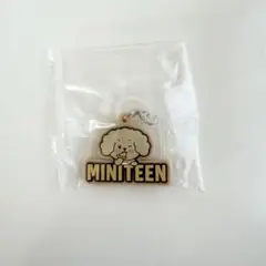 ミニティーン　ぷっくりめじるしアクセサリー　DK