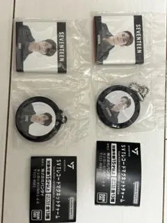 SEVENTEEN バーノン　ディノセット SVTレコードマグネットチャーム
