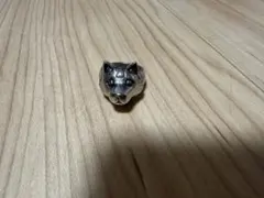 リボーン 山本武 ボンゴレリング アニマル 次郎 雨犬