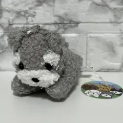 ダッシュ!わんちゃん シュナウザー