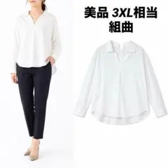 美品】UNTITLED Vネックブラウス フレンチスリーブ 白 2XL相当 - メルカリ