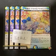 大集合！アカネ＆アサギ＆コハク　4枚