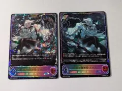 凍土の女王・ピアシィ PR EVOLVEセット - メルカリ