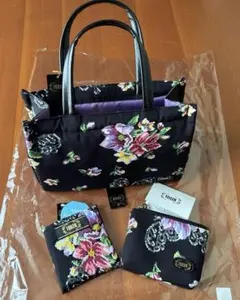 Item thumbnail for item 10b916be-e3dd-4a05-863a-a03fb3679589